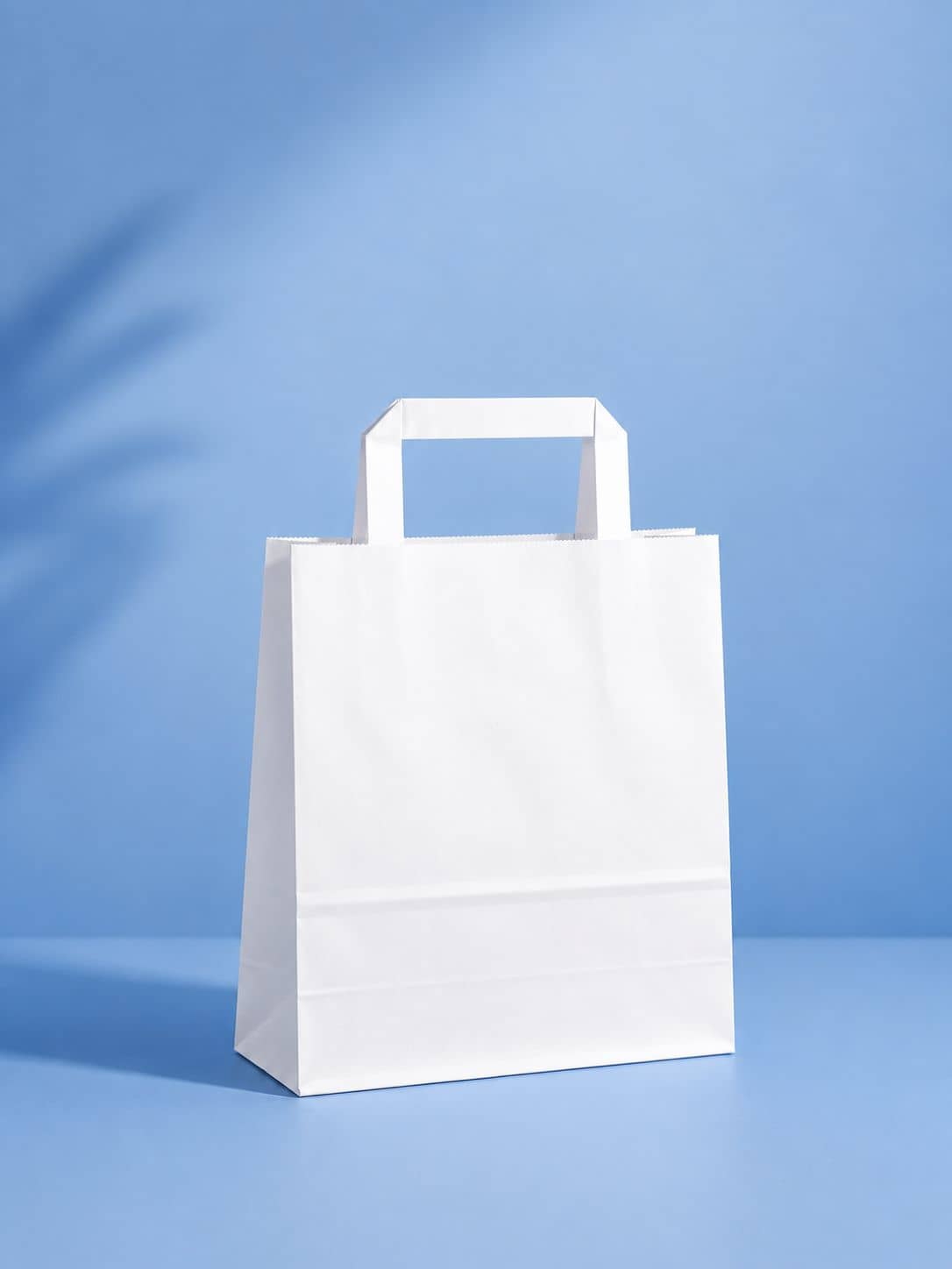 sac papier poignees plates